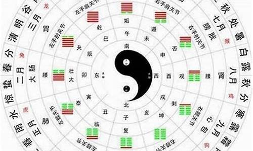 金木水火土五行数字货币是什么(金木水火土五行查询表出生年月日)