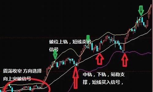 数字货币黄绿紫线分别是什么意思(数字货币被骗过程)(图1)