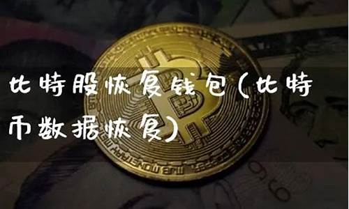 比特币钱包数据恢复(比特币钱包恢复工具)(图1)